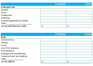 Baby budget template excel   Budget Templates for Excel