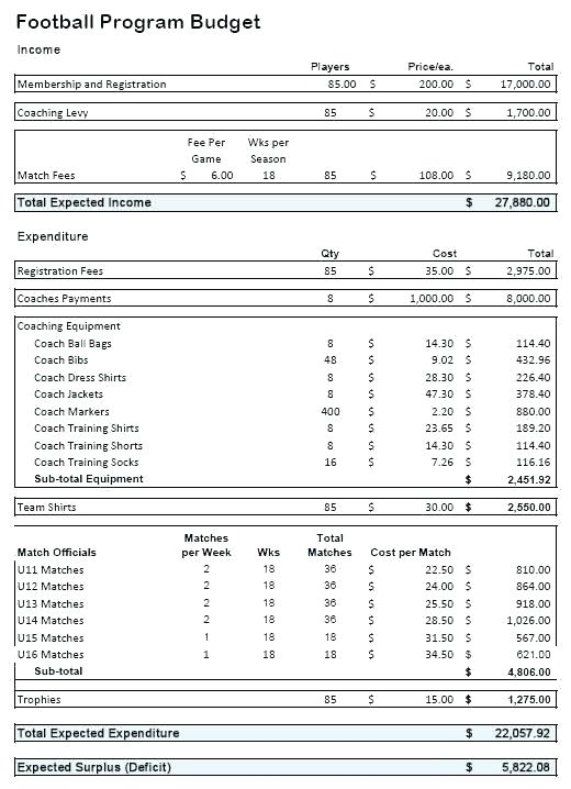 Booster Club or PTO Treasurer's Report: Income and Expenses and 