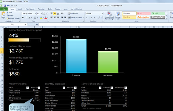 College Budget Template for Excel 2010 & 2013