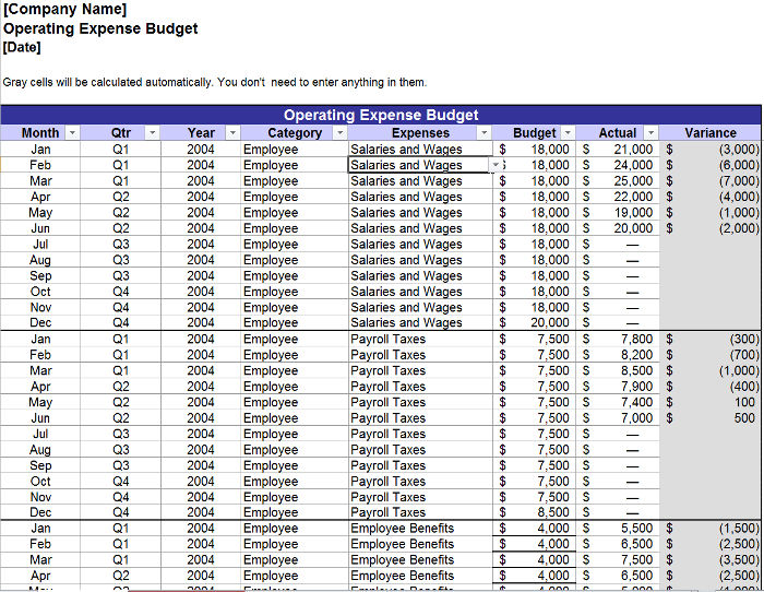 5+ Yearly Budget Templates  Word, Excel, PDF | Free & Premium 