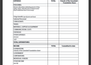 Creating a budget proposal   Budget Templates for Excel