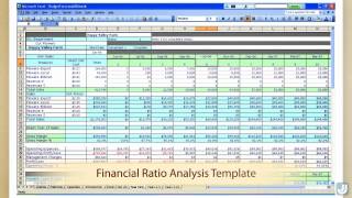 ecommerce budget template ecommerce budget template