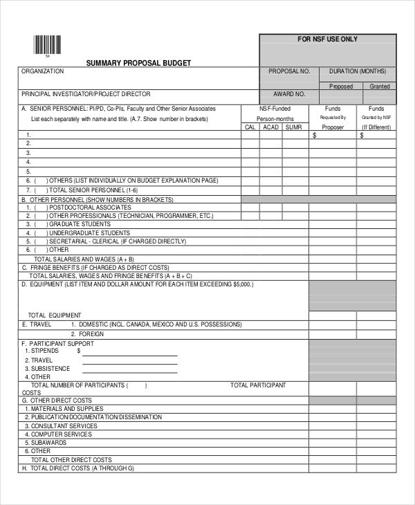 14+ Budget Proposal Templates | Word, Excel & PDF Templates |  