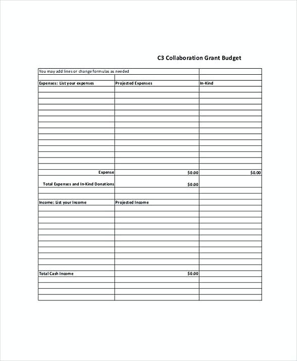Collaboration Grant Budget Template , Grant Budget Template 