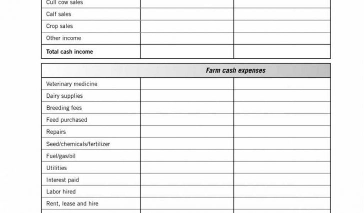 Hair Salon Budget Template Template Creator