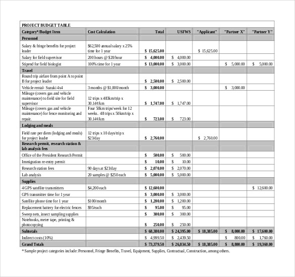 IT Budget Template   8+ Free Word, Excel, PDF Documents Download 