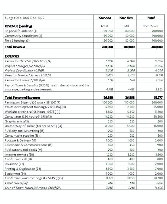 NonProfit Project Budget Template , 8 Non Profit Budget Template 