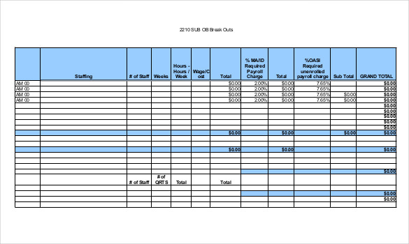 9+ Payroll Budget Templates   Free Sample, Example, Format 